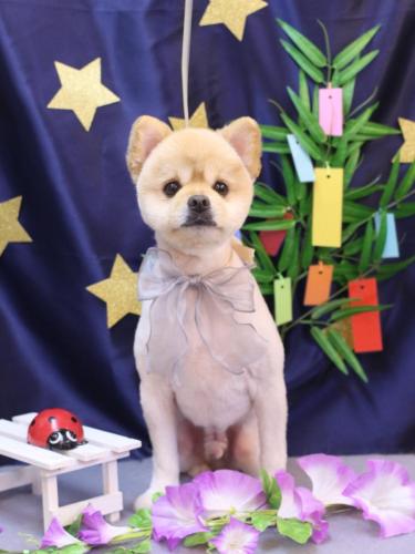 20230722優人くん